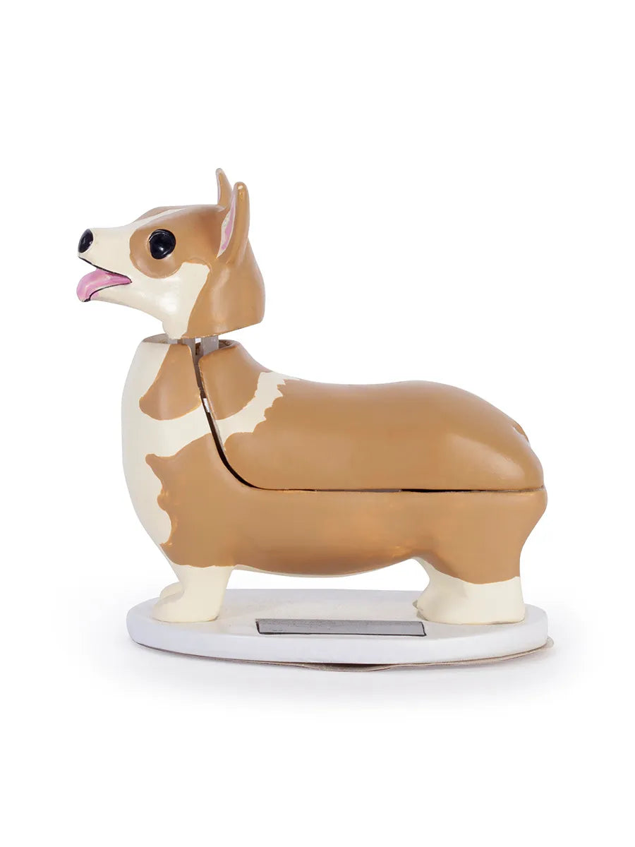Solar Corgi von Kikkerland - 1 - Jacobsen Plus