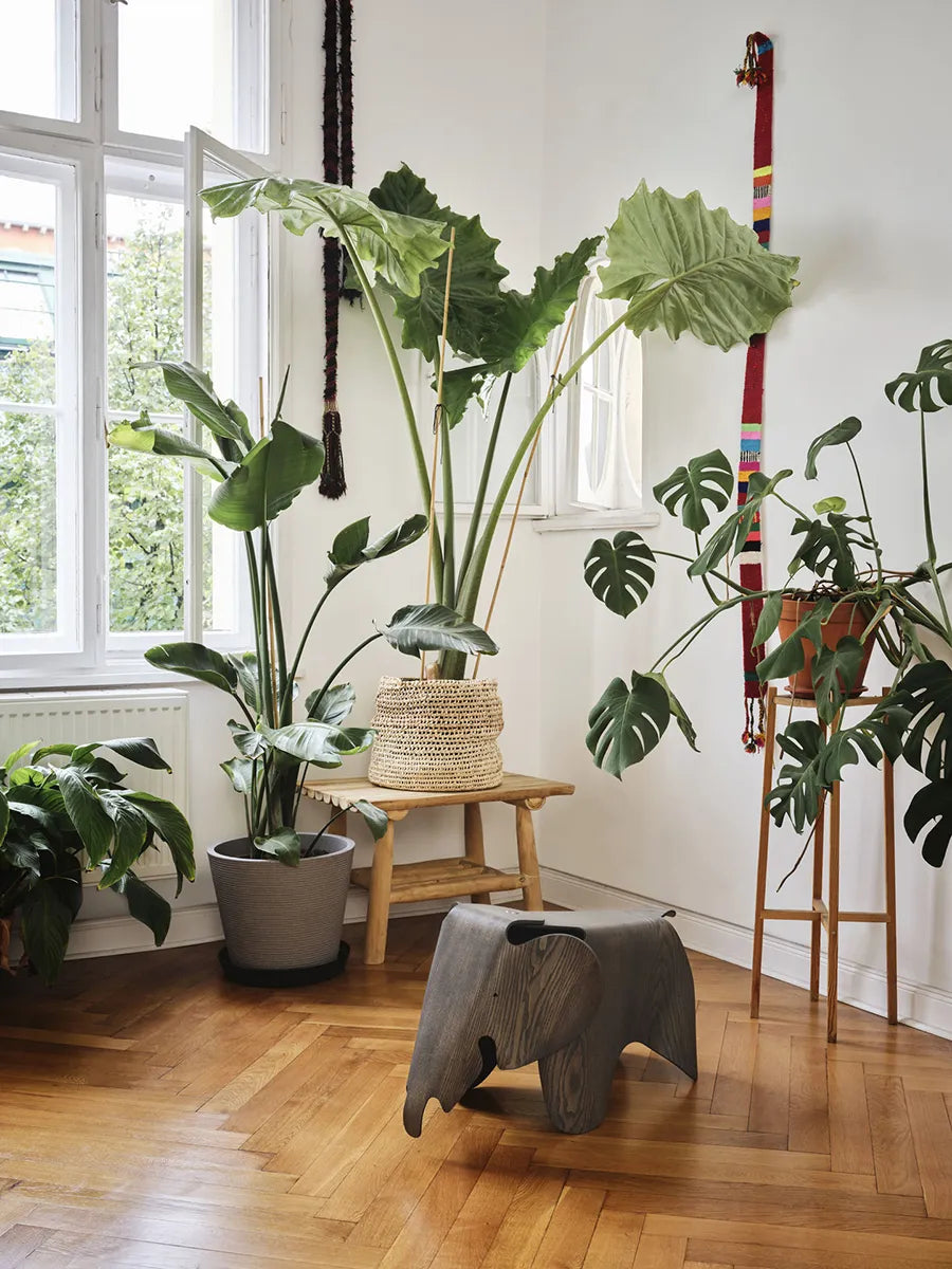 Eames Elephant, 75 års jubilæumsudgave fra Vitra - 2 - Jacobsen Plus