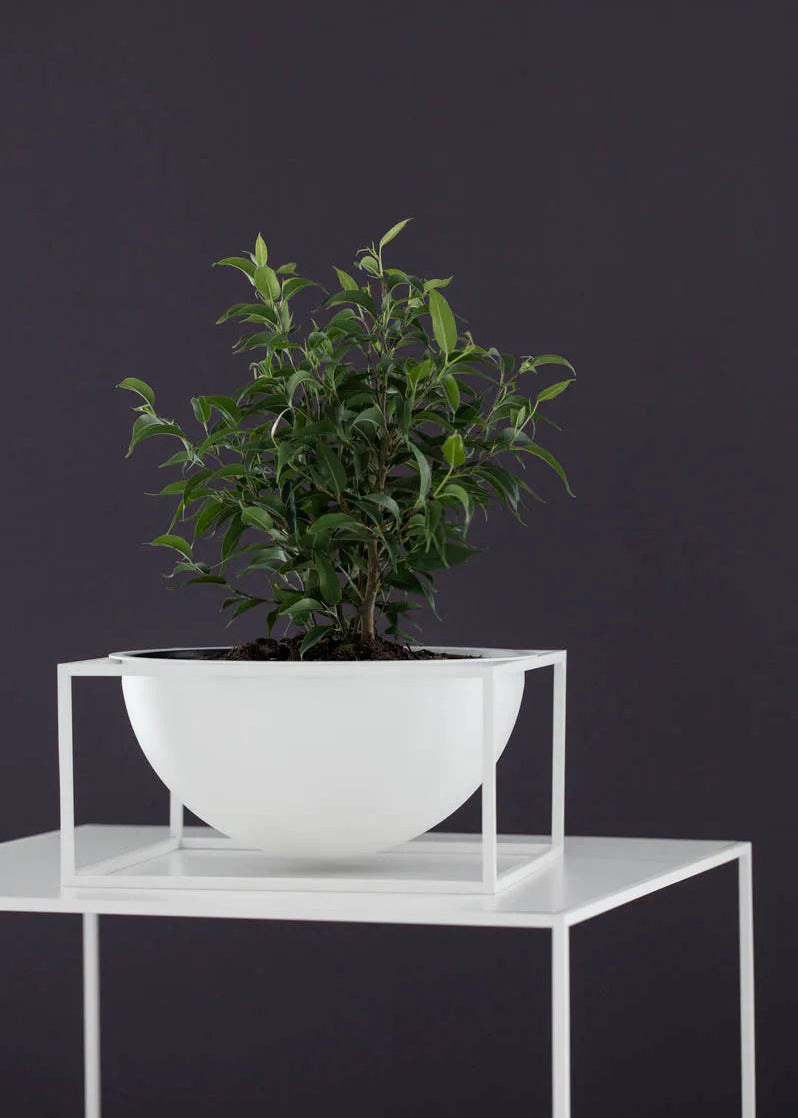 Kubus Bowl Centerpiece Large, Weiß von Audo Copenhagen - 2 - Jacobsen Plus