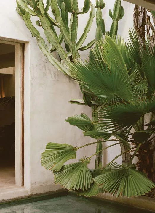 The Kinfolk Garden von New Mags - 14 - Jacobsen Plus
