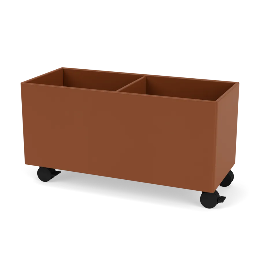 - Hazelnut - Jacobsen Plus
