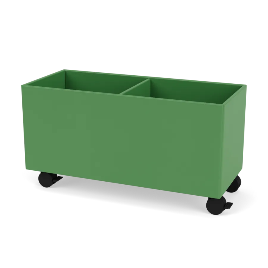- Parsley - Jacobsen Plus