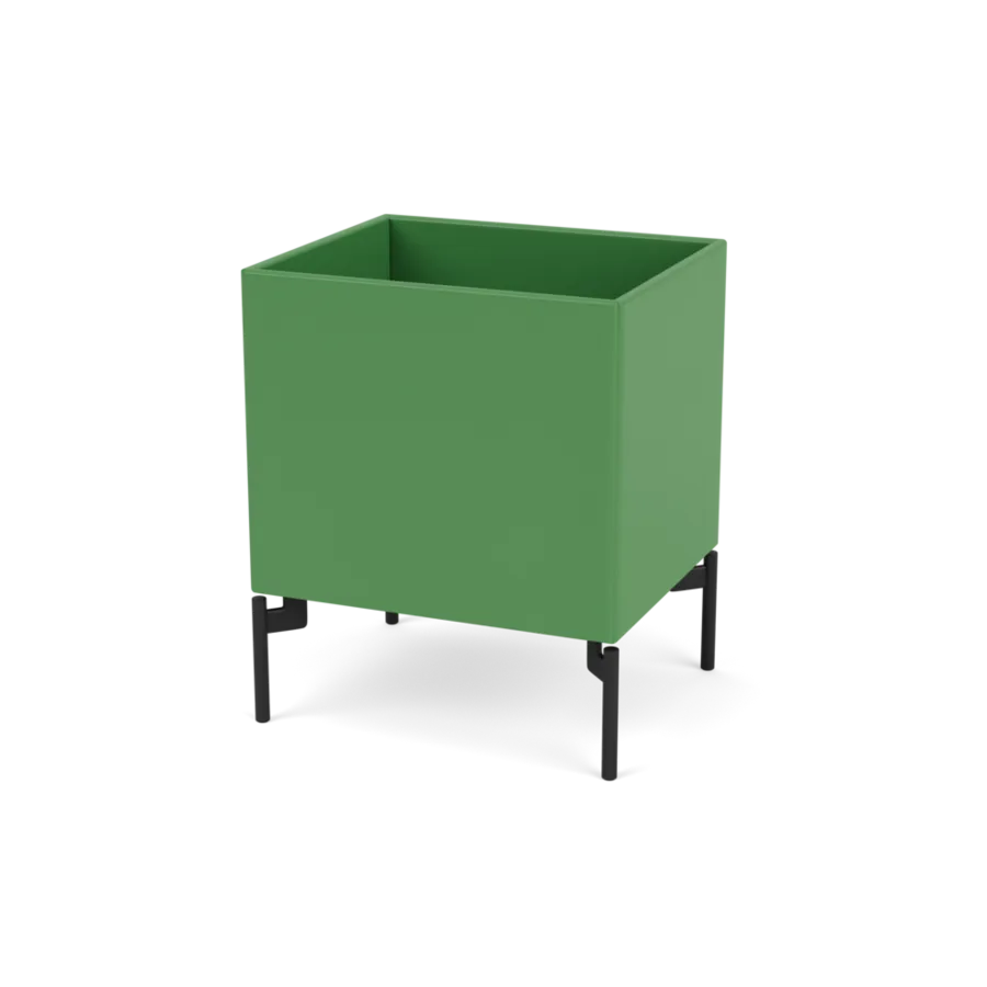 - Parsley / Black - Jacobsen Plus