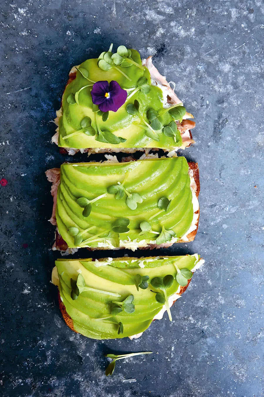 The Avocado Book von New Mags - 7 - Jacobsen Plus