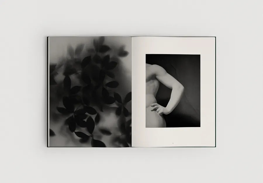 The Reinvention of Forms, Grau von New Mags - 6 - Jacobsen Plus