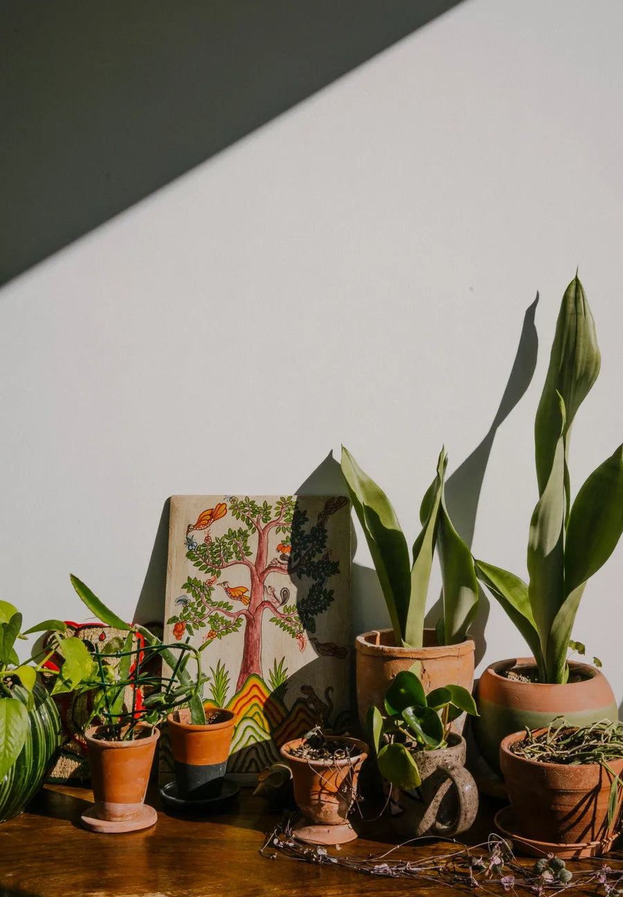 The Kinfolk Garden von New Mags - 6 - Jacobsen Plus