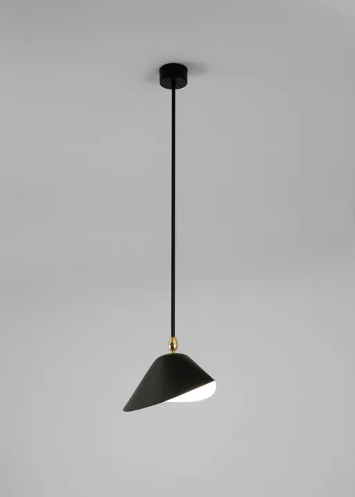 Ceiling Lamp Bookshelves af Serge Mouille - 2 - Jacobsen Plus