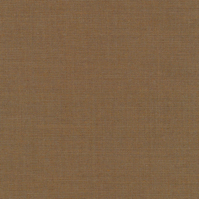 Canvas 0254