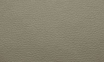 SI1611 Stone