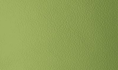 SI0407 Limette