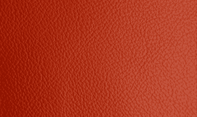 SI1100 Mandarin