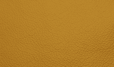 SI2013 Mustard
