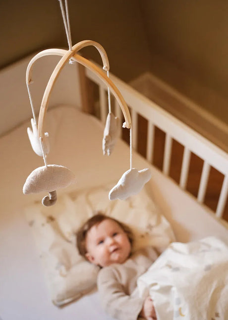 Uro von Moonboon - 2 - Jacobsen Plus