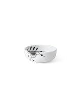  - 15 - Jacobsen Plus