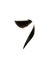 Flame Small Wall Lamp von Serge Mouille - Gauche (links) - Jacobsen Plus