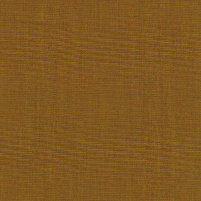 Canvas 0424