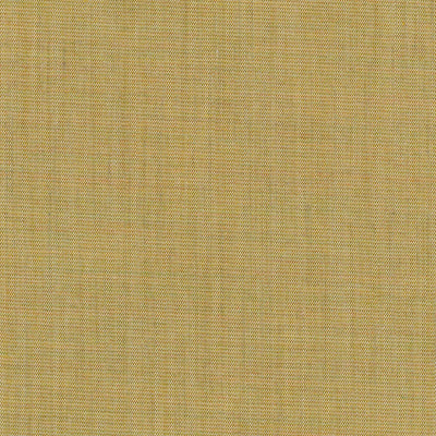 Canvas 0414
