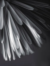 Sun - Light of Love Pendelleuchte von Foscarini - 9 - Jacobsen Plus