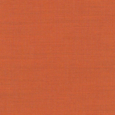 Canvas 0546