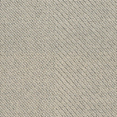 Coda 0100