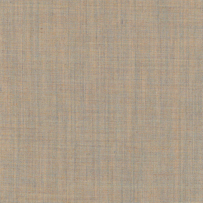 Canvas 0224