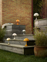  - 13 - Jacobsen Plus