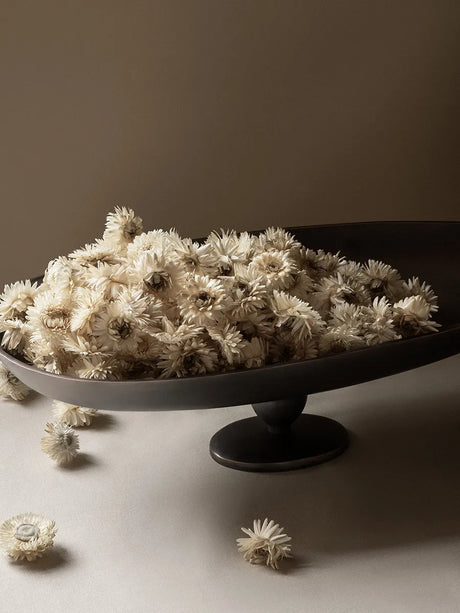 Pavot Centerpiece von Audo Copenhagen - 2 - Jacobsen Plus