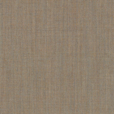 Canvas 0244