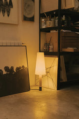  - 80 - Jacobsen Plus