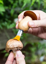 Mushroom Tool Keychain fra Kikkerland - 2 - Jacobsen Plus