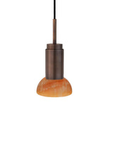 Donya ONYX Moon, Amber von Anour - 8 - Jacobsen Plus