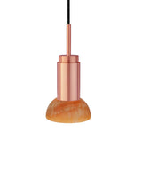 Donya ONYX Moon, Amber von Anour - 11 - Jacobsen Plus