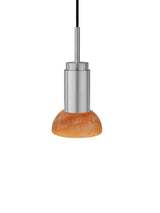 Donya ONYX Moon, Amber von Anour - 13 - Jacobsen Plus