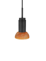 Donya ONYX Moon, Amber von Anour - 7 - Jacobsen Plus