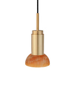 Donya ONYX Moon, Amber von Anour - 9 - Jacobsen Plus