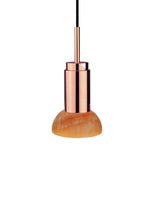 Donya ONYX Moon, Amber von Anour - 12 - Jacobsen Plus