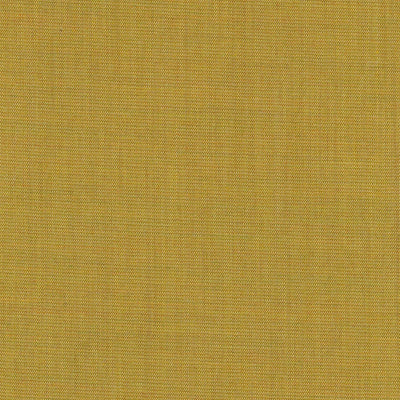Canvas 0446