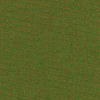 Canvas 0954
