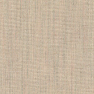 Canvas 0216