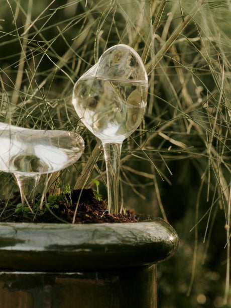 Mercury Water Globe Small, Bewässerungskugeln, 2-er Pack, klar von Ferm Living - 2 - Jacobsen Plus