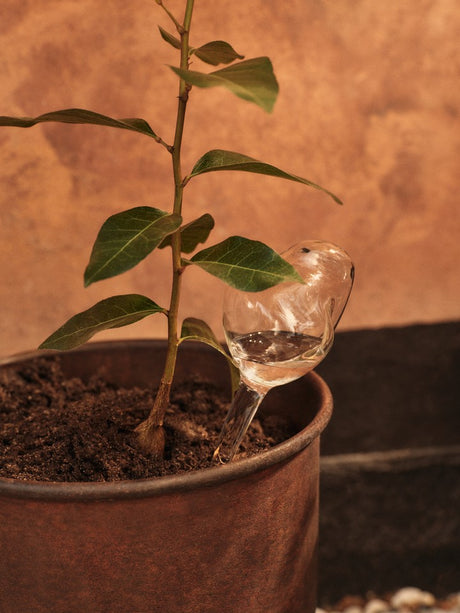 Mercury Water Globe, Bewässerungskugeln, 2er-Pack, klar von Ferm Living - 2 - Jacobsen Plus