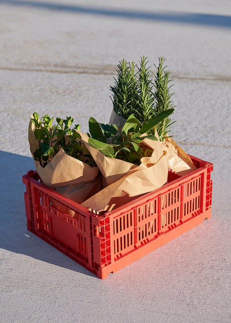 Colour crate M, rot von HAY - 2 - Jacobsen Plus
