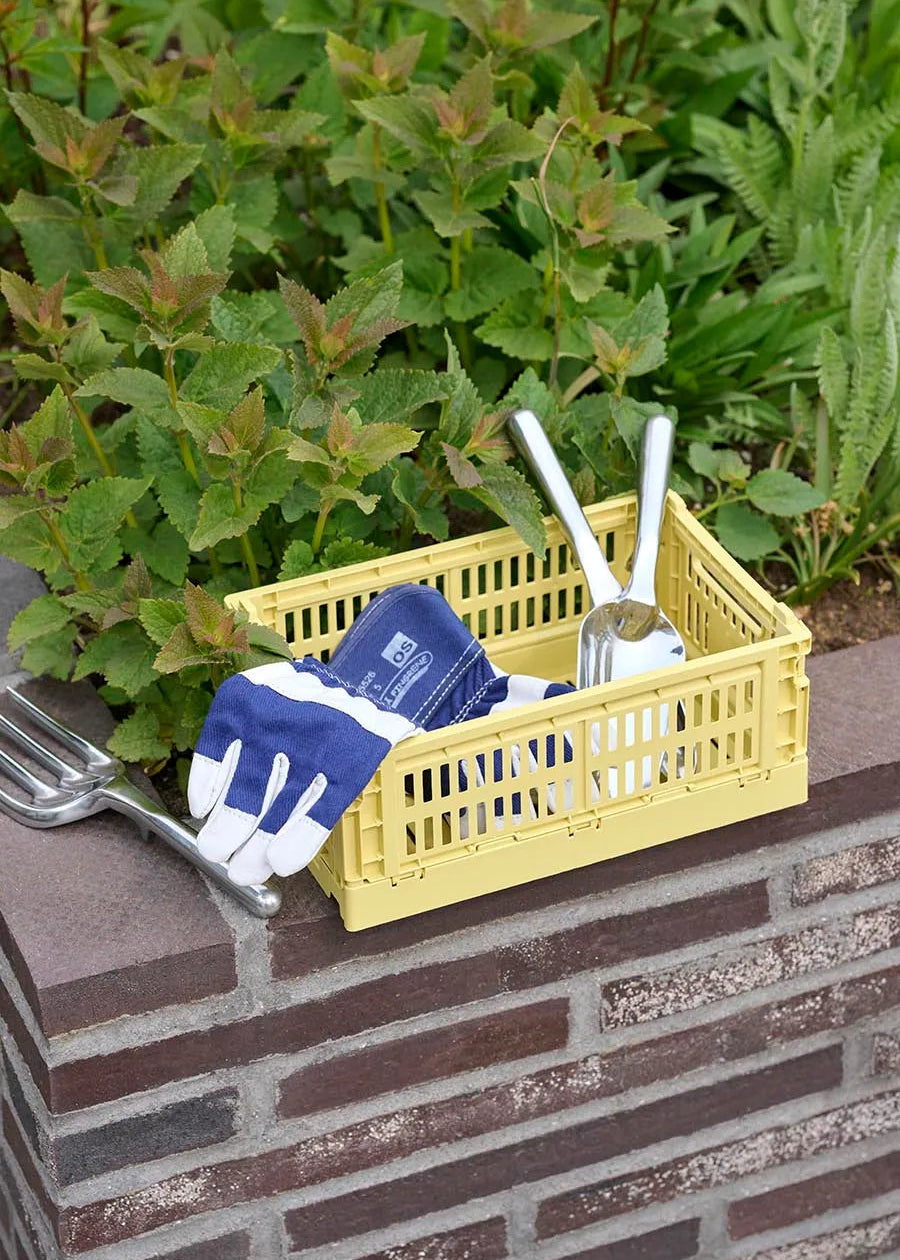  - 18 - Jacobsen Plus