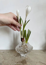 Canyon Vase Mini, klar von Hein Studio - 2 - Jacobsen Plus