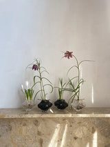 Canyon Vase Mini, klar von Hein Studio - 3 - Jacobsen Plus