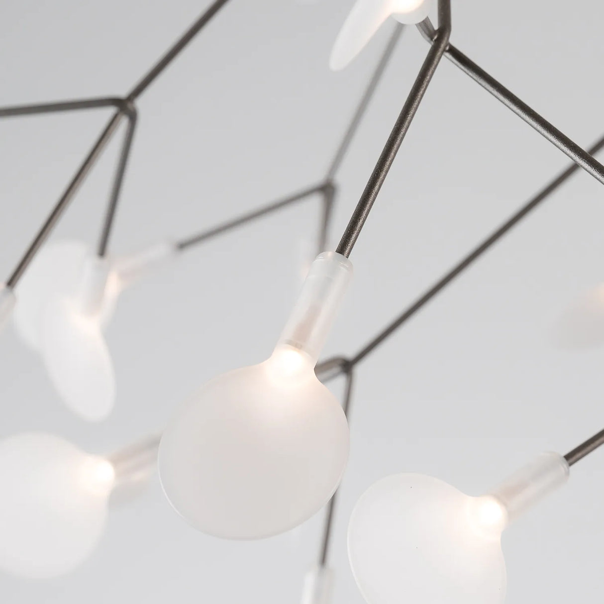 Heracleum III Suspended, Small, nickel fra Moooi - 3 - Jacobsen Plus