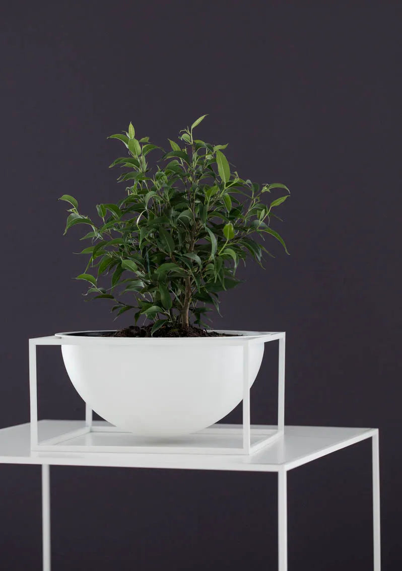 Kubus Bowl Centerpiece Large, Weiß von Audo Copenhagen - 2 - Jacobsen Plus