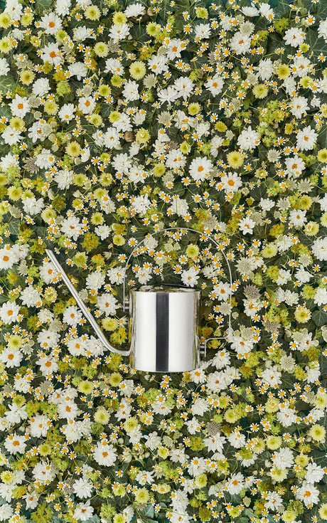 Original Wasserkrug, 1,7 l von Stelton - 3 - Jacobsen Plus