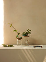 Cresco Propagation Vases, Set à 2 Stk. von Audo Copenhagen - 2 - Jacobsen Plus