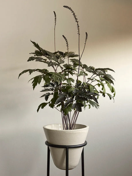 Daiza Planters von Audo Copenhagen - H 37 - Ø 25 cm - Jacobsen Plus